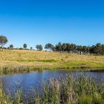 Hilltop Creek