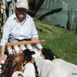 Judy at the EKKA